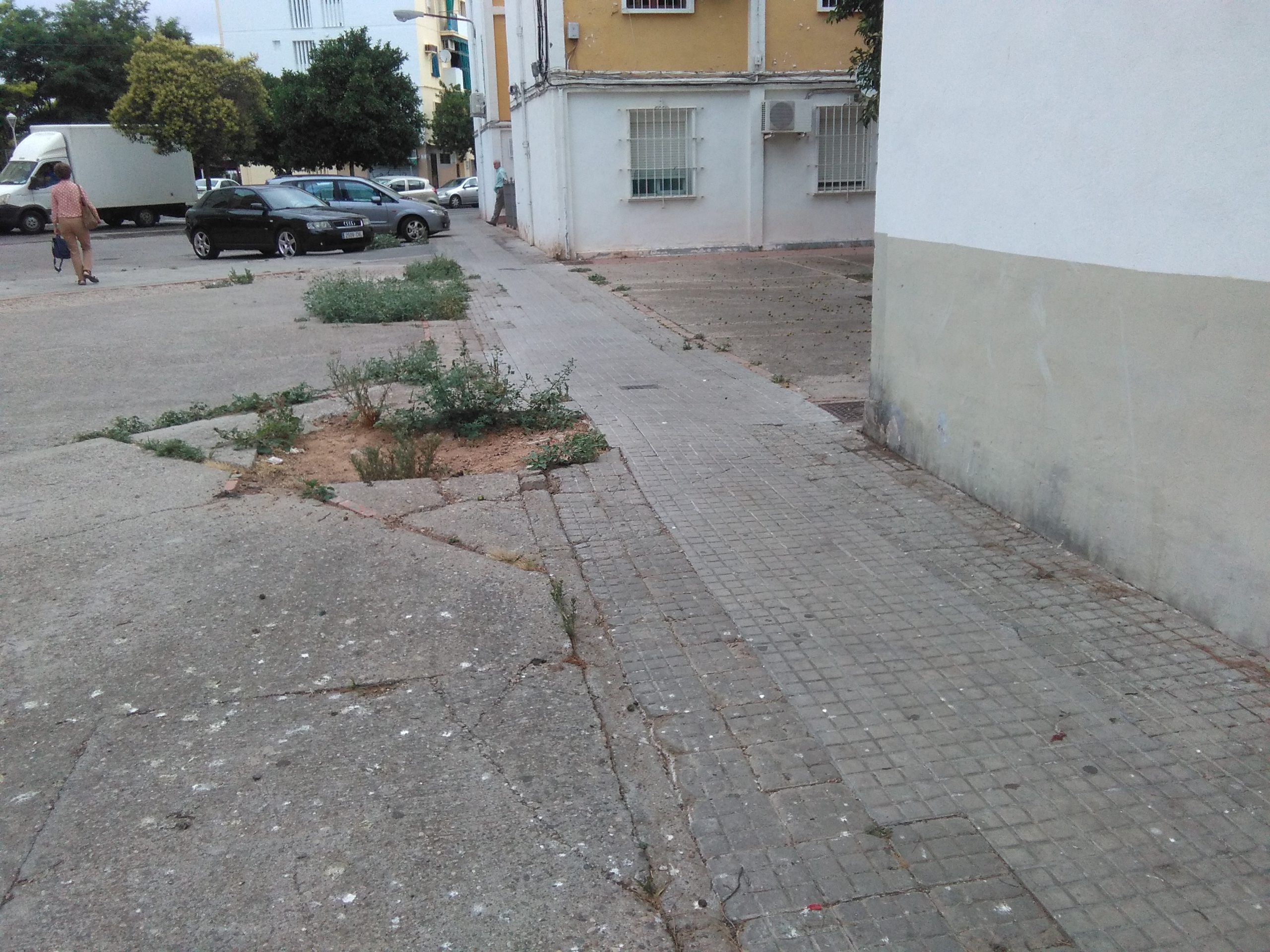 Remodelación Plaza de la Paz - Mi barrio es Córdoba