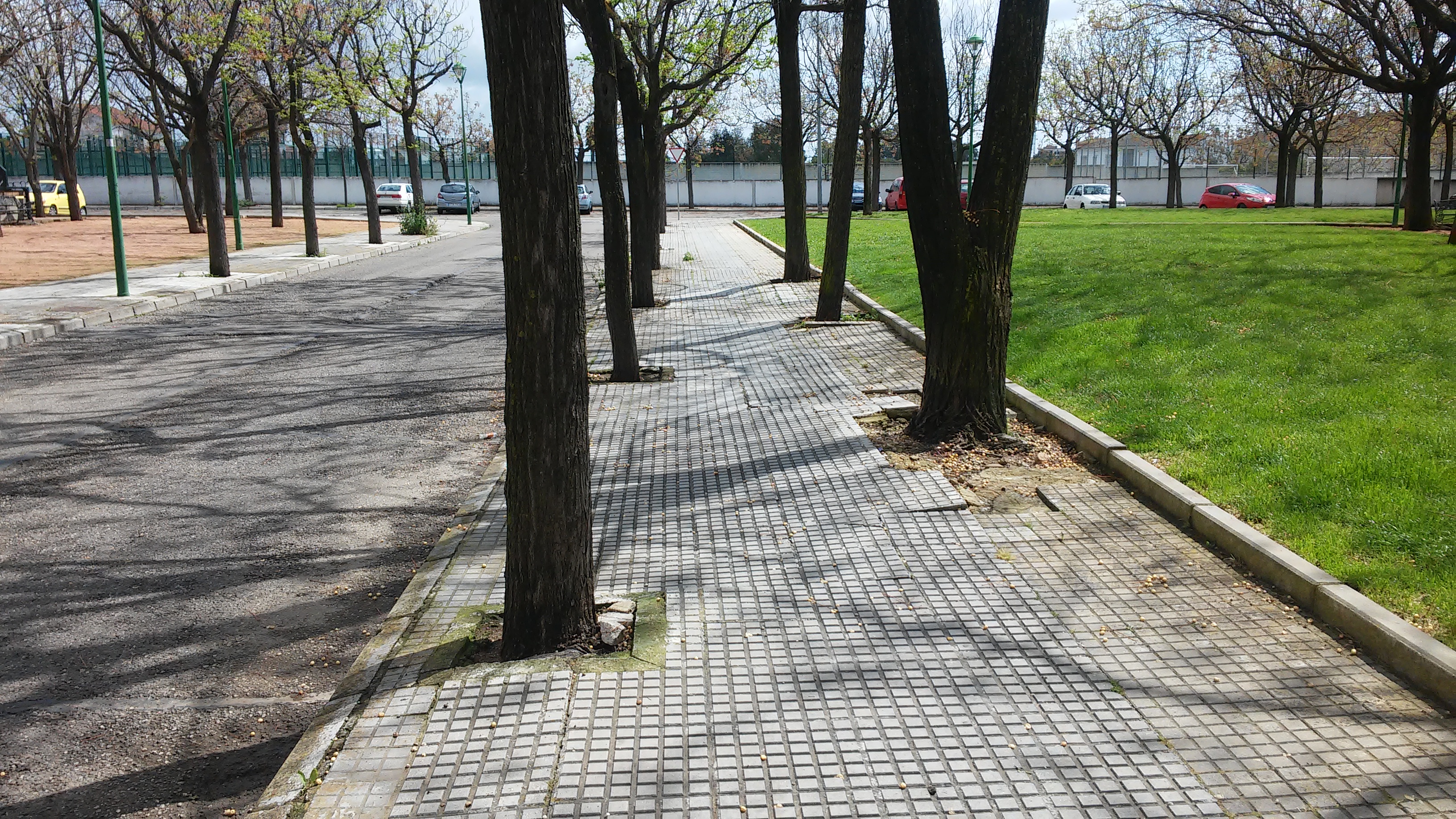 Mi barrio es Córdoba - Proyecto de remodelación de la calle del Campo
